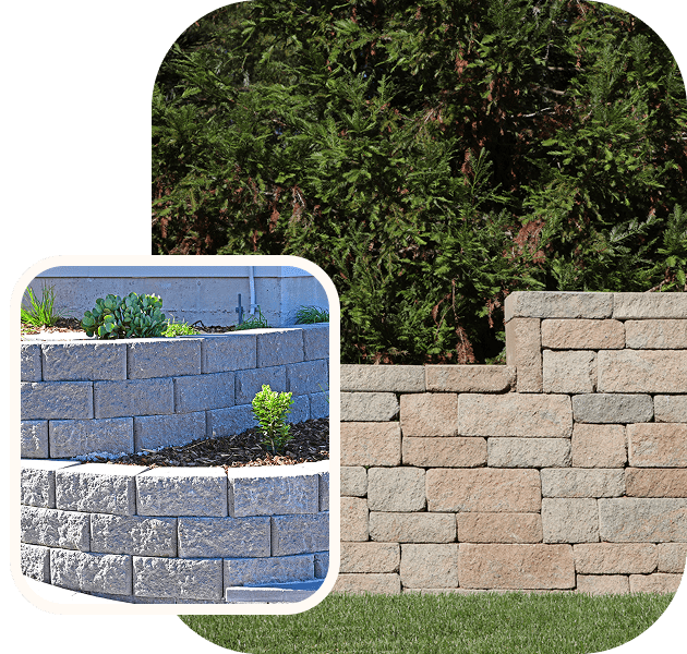 Stone retaining wall with plants and trees.