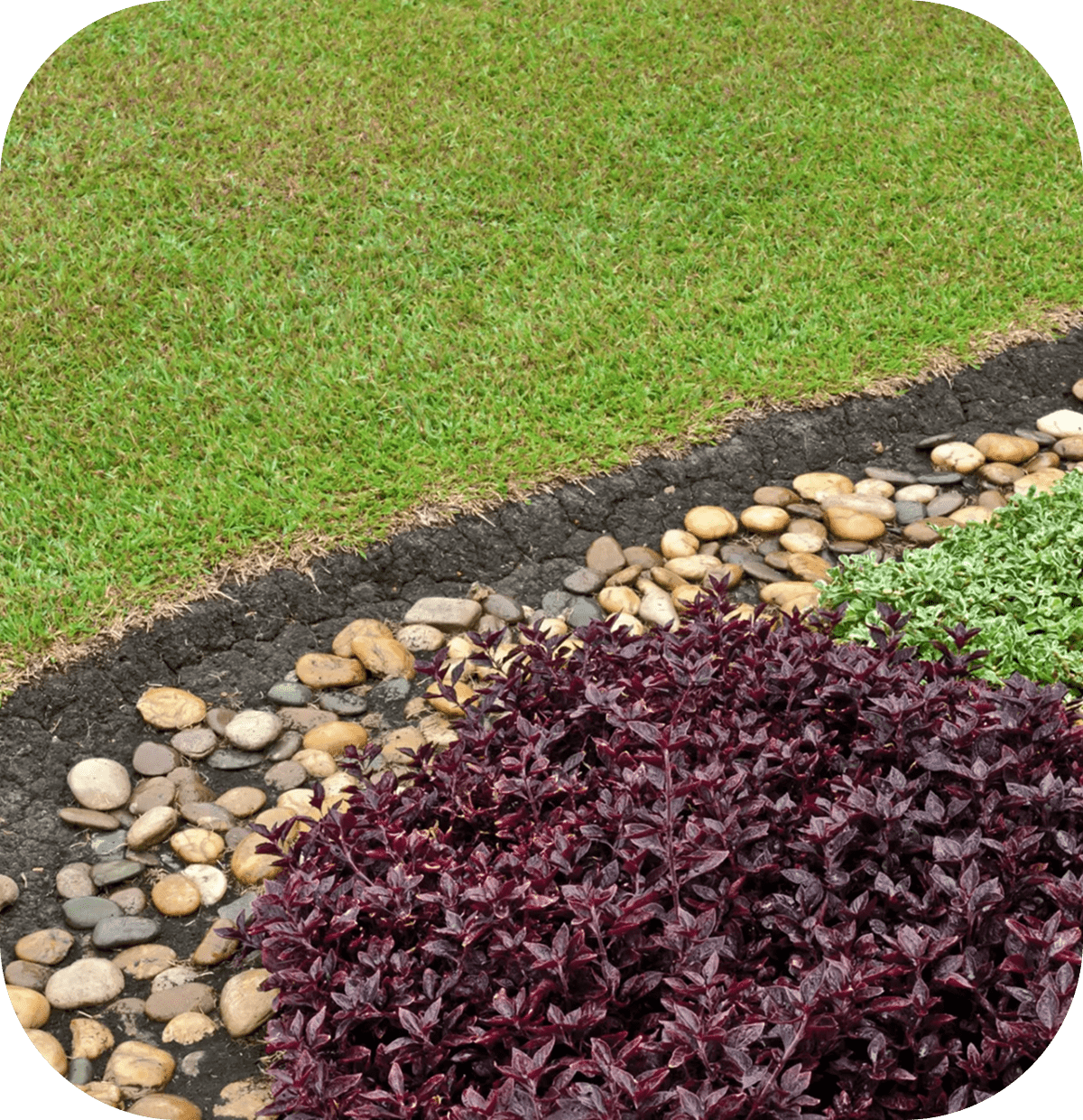 Garden with grass, stones, and colorful plants.