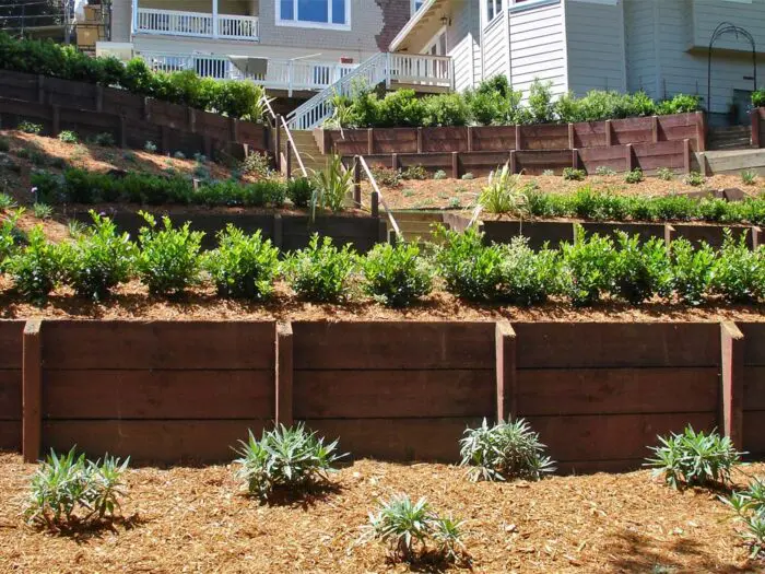 Terraced garden with lush greenery and stairs.